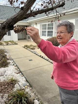 Homemade Bird Feeders