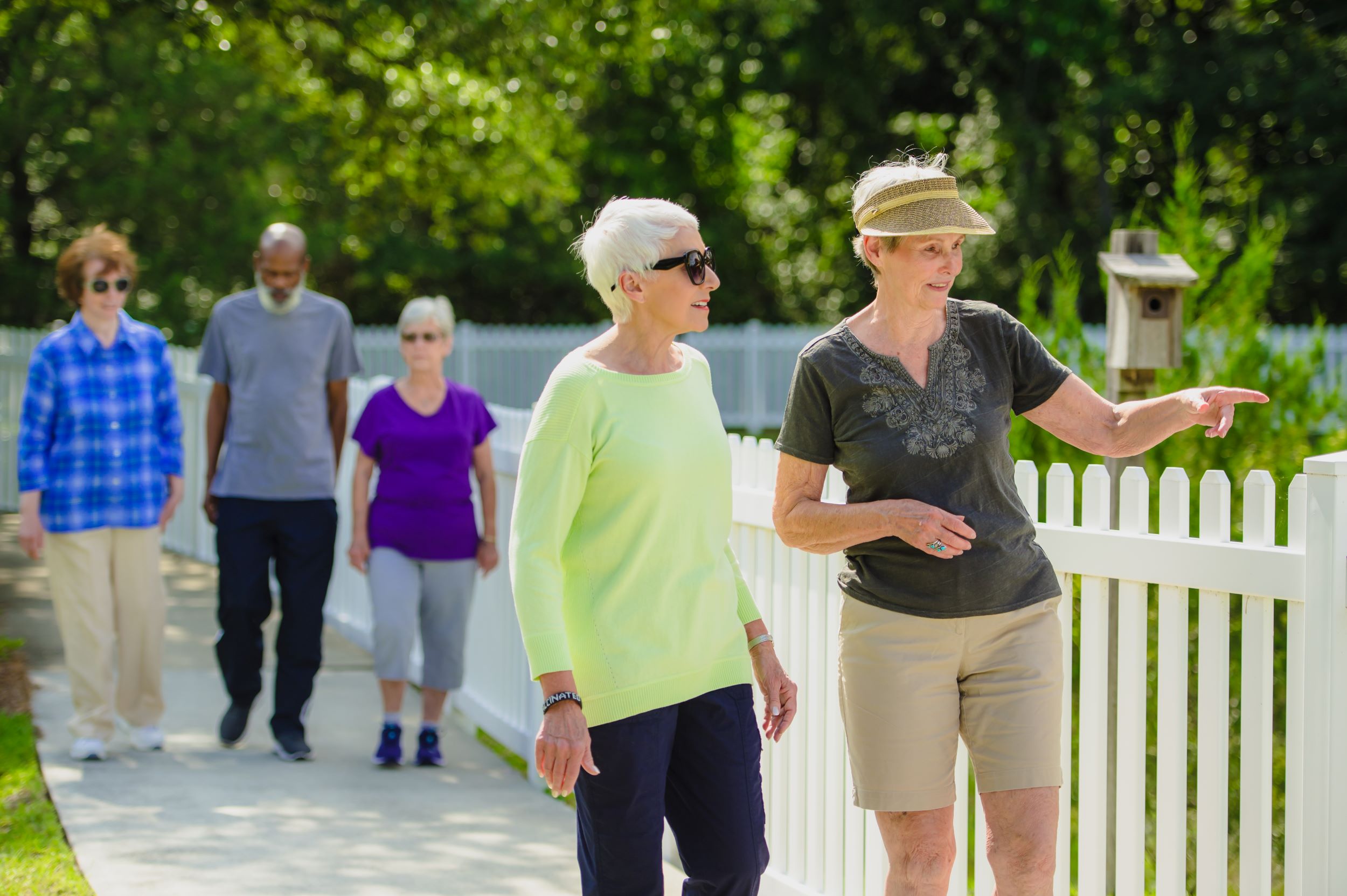 Group of Seniors walking